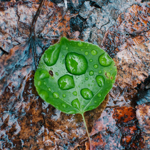 10 Tips voor een regenachtige dag