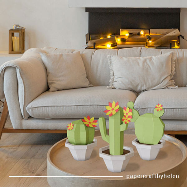 Cactus Trio