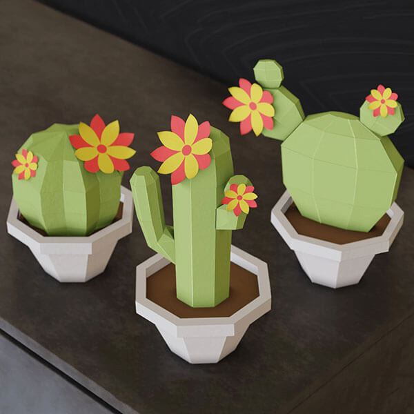 Cactus Trio