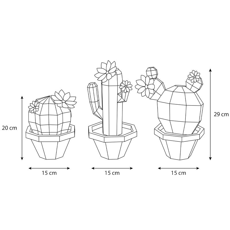Cactus Trio