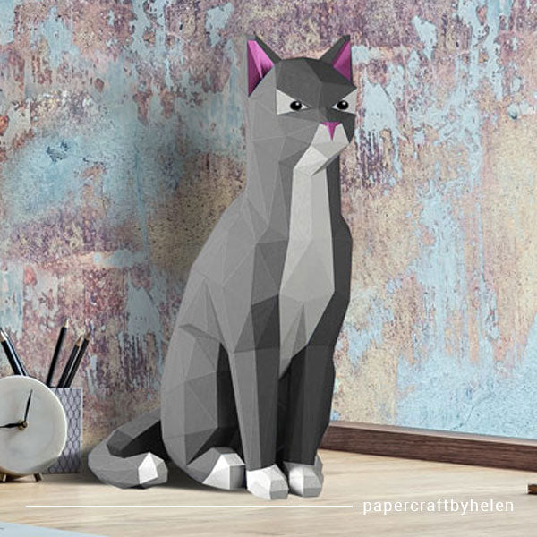 Cat - Grey