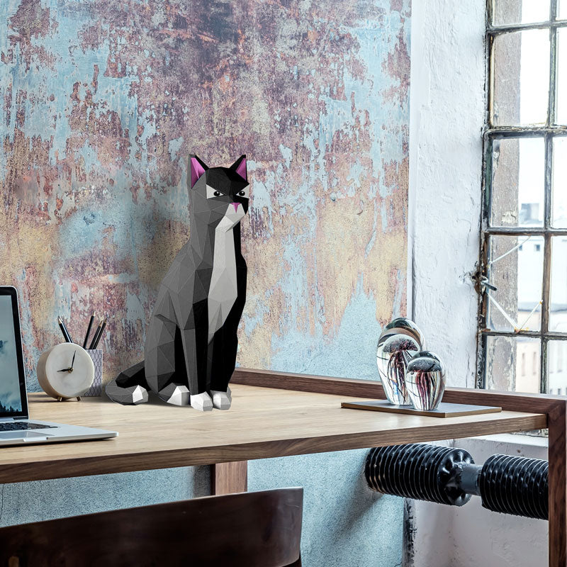 Cat - Black