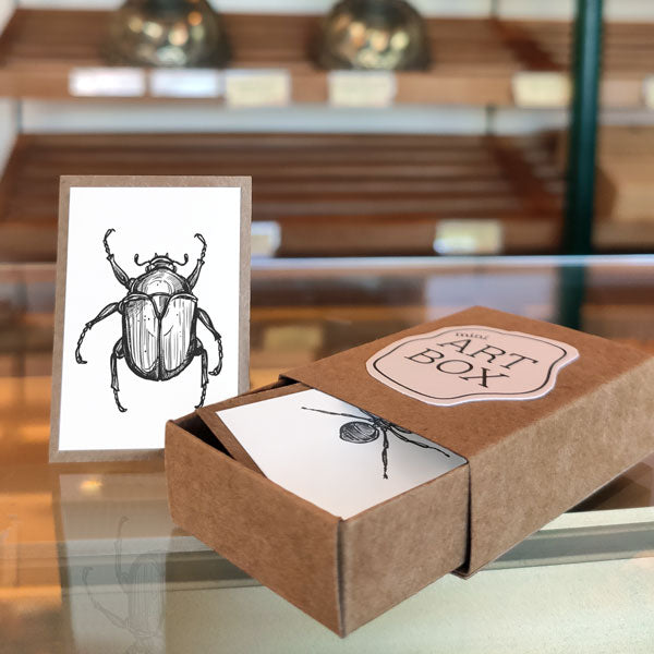 Mini Art - Insects (4 pcs)