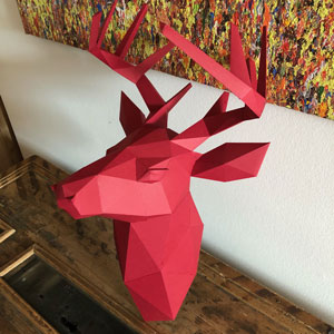 DIY pakket van een hertenkop - review